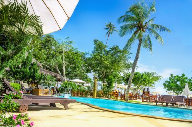 Lüks Yüzme Havuzu, şezlong, palmiye