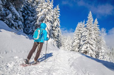 Young woman in dawn jacket hiking on snow shoes clipart