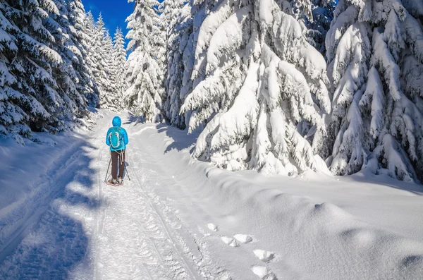 Frau in blauer Jacke auf Winterwanderweg — Stockfoto