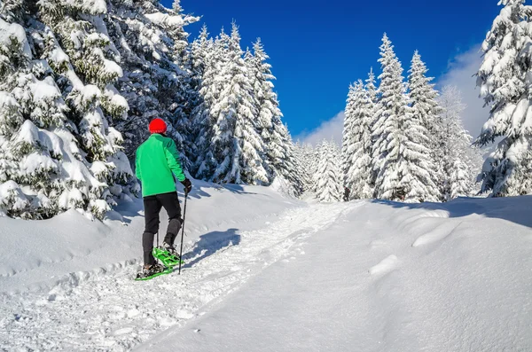 Athletic man with snow shoes on winter trail — Stock Photo, Image