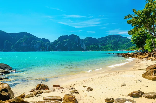 Favolosa spiaggia con piante esotiche e sabbia bianca — Foto Stock