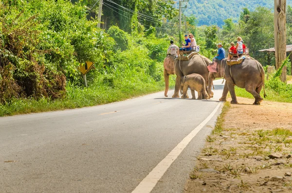 Paseo en elefante en la aldea Chiang Mai, Tailandia — Foto de Stock