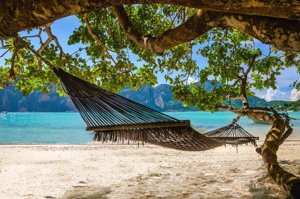 Гамак висит под экзотическим деревом на пляже — стоковое фото
