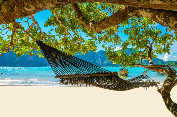 Swing hänga från kokosnöt träd över beach, Thailand — Stockfoto