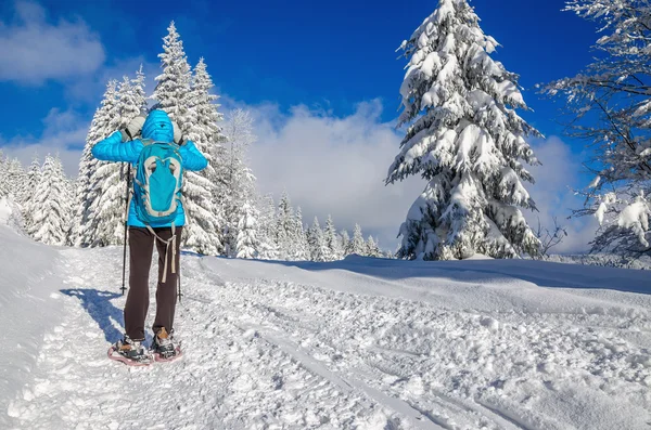 Joven mujer en azul jacked en invierno trail — Foto de Stock