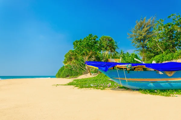 Exotisk strand med färgglada båt, höga palmer — Stockfoto