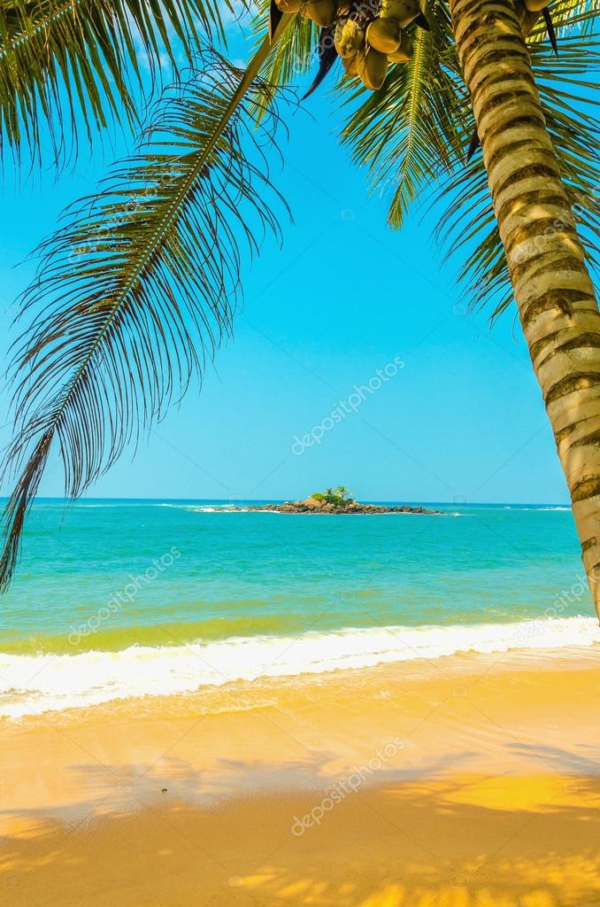 Plage De Sable Avec Cocotier Et Sable Doré Photographie