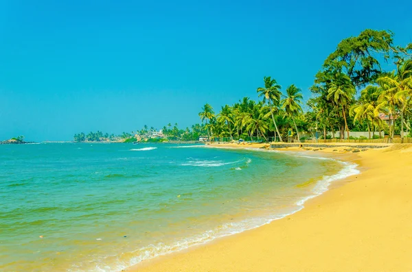 Plage de sable exotique avec de hauts palmiers — Photo