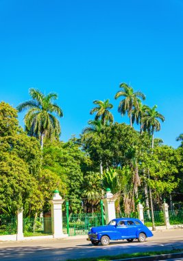 Havana, Küba'da klasik Amerikan mavi otomobil 