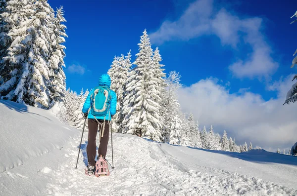 Mujer con chaqueta y palos caminando, invierno — Foto de Stock