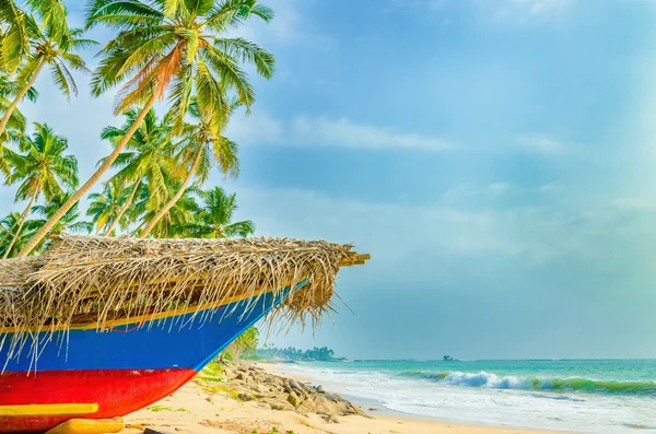 Egzotikus beach, a hajó- és pálmafák között — Stock Fotó