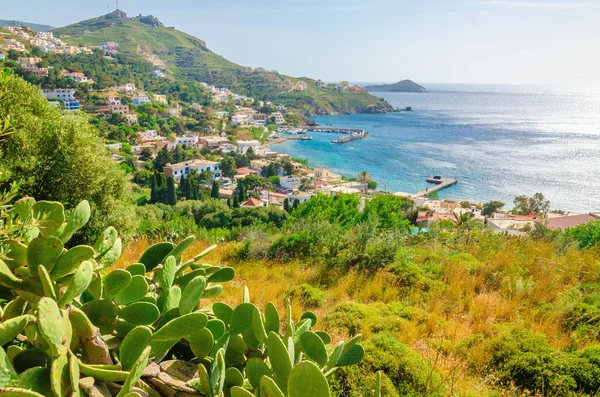 Cactuses and bay of Greek houses on coast — Stock Photo, Image