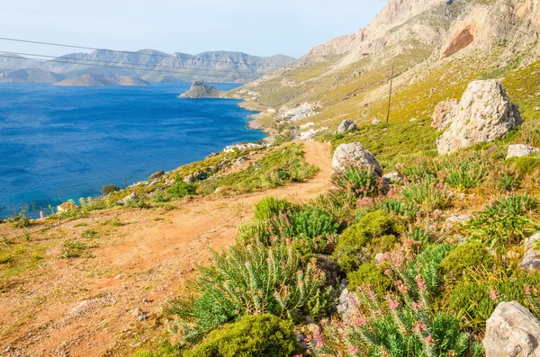 Grekiska vackra vilda landskapet och havet — Stockfoto