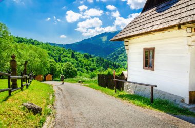 Wooden white hut in village, Eastern Europe 