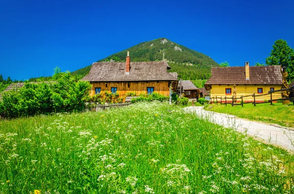 Beautiful Vlkolinec traditional village, Slovakia — Zdjęcie stockowe