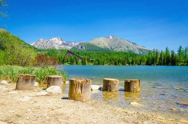 Wooden trunks at beach of mountain lake — Stock Photo, Image