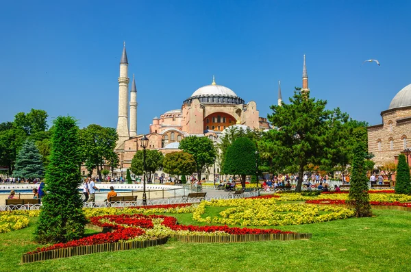 Hagia Sophia with flowerbed, Istanbul, Turkey — Stok fotoğraf