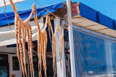 Octopus hanging to dry on a rope by restaurant clipart