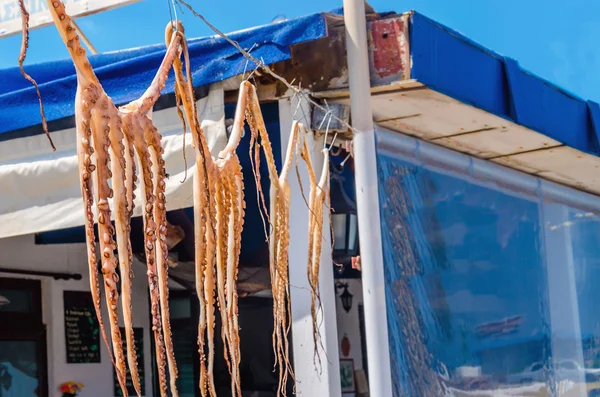 Polpo appeso ad asciugare su una corda da ristorante — Foto Stock