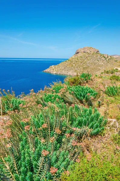 Vista de la bahía del mar griego con hierba y arbustos, Kos — Foto de Stock