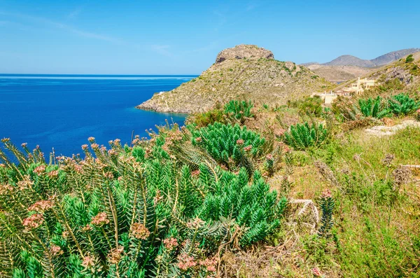 Грецька морем бухті з трави і чагарники — стокове фото