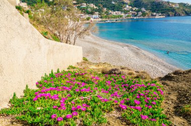 Açık mavi gökyüzü, Yunanistan ile kumlu plajda çiçekler