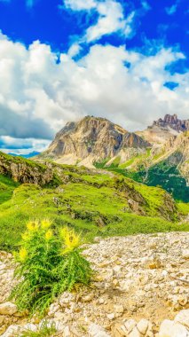 Dolomites Dağları ile çiçek açan çiçekler, İtalya