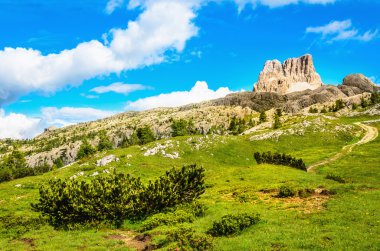 Monte Averau, Dolomites içinde yeşil çayırlar
