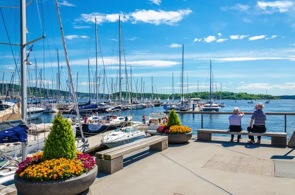 Jachtok és pier virágok, Oslo Fjord, Norvégia — Stock Fotó