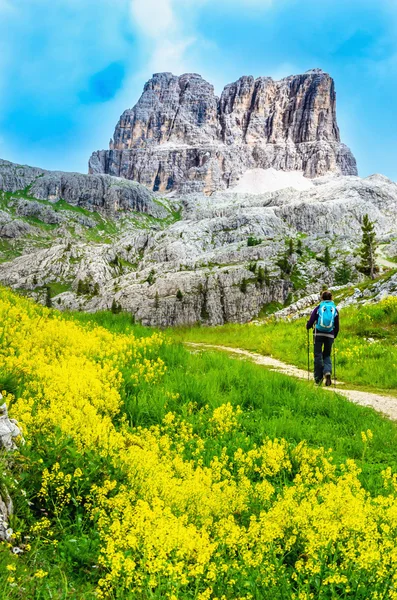 Muntain spår med bergen i Dolomiterna — Stockfoto