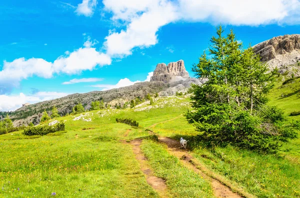 Ścieżki piesze wycieczki do Monte Averau w Dolomity, Włochy — Zdjęcie stockowe