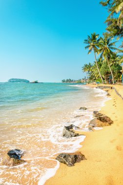 Caribbean beach full of palm trees against azure sea clipart