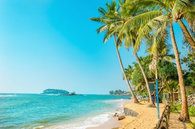 Beautiful paradise beach with tall palm trees clipart