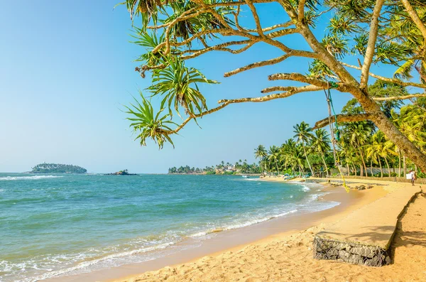 Hermosa playa salvaje y exótica en las Seychelles — Foto de Stock