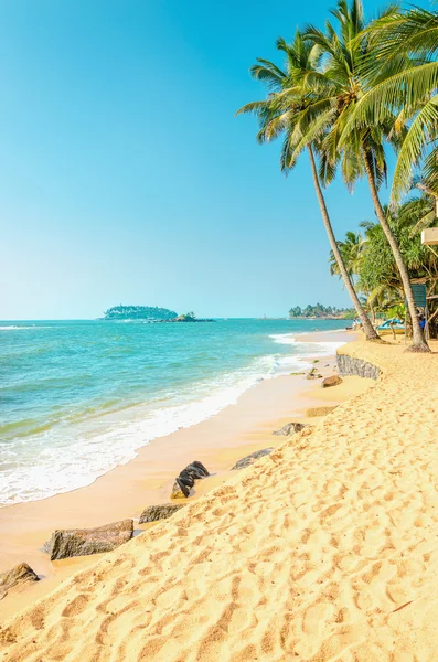 Exotischer Strand mit goldenem Sand und Palmen — Stockfoto