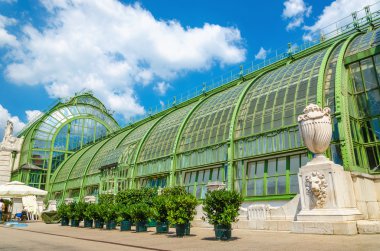 Palm and Butterfly house in Vienna Burggarten, Avusturya
