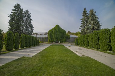 Yeşil ağaçlar ve çalılar bahçede Park sokakta