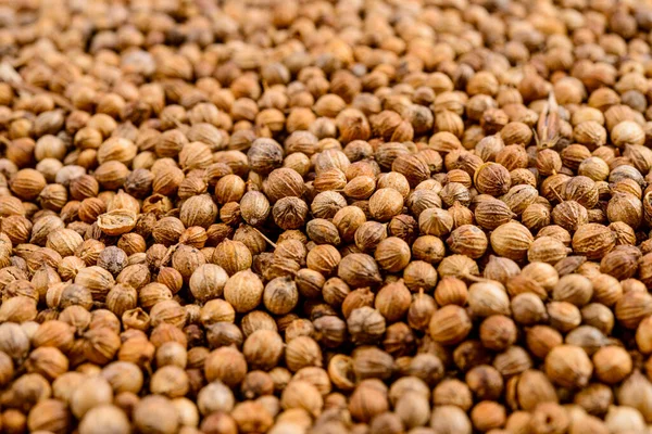 Full frame of coriander seeds. Selective focus.
