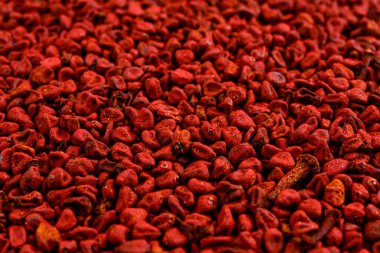 Annatto tohumunun tam çerçevesi. Seçici odak.