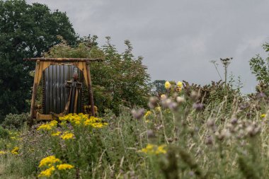 Vahşi çiçekler tarlasında sulama sistemi hortumu