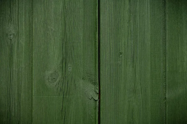 Old Green Wooden Shed Door Texture — Stock Photo, Image