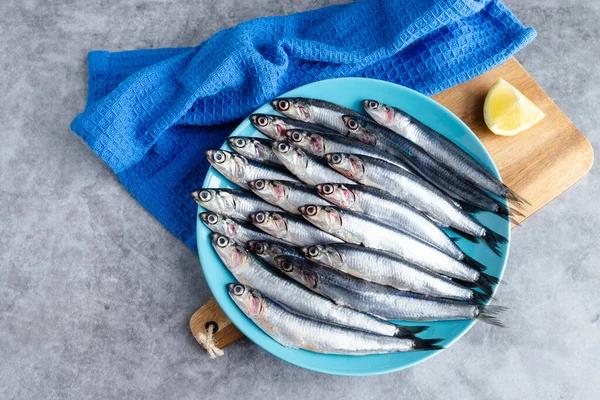 Ganze Sardellen Auf Blauem Teller Auf Marmorgrund Kopierraum Frischfisch Konzept — Stockfoto