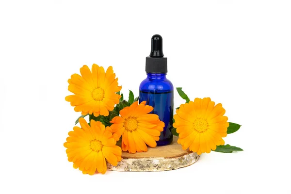 Marigold çiçekleri ve huş ağacından dilimlenmiş bir şişe ve sarı arka plan. Boşluğu kopyala.