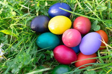 Çimen arka planında renkli Paskalya yumurtaları. Boşluğu kopyala.