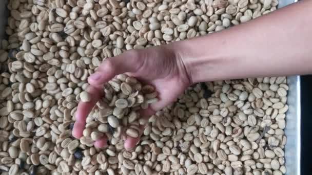 Keze Pörköletlen Kávét Kevert Kávébetakarítás — Stock videók
