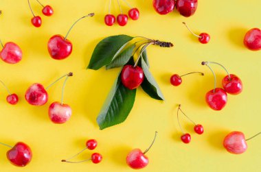 Sarı arka planda kırmızı kirazlar ve yapraklar. Düz yatıyordu.
