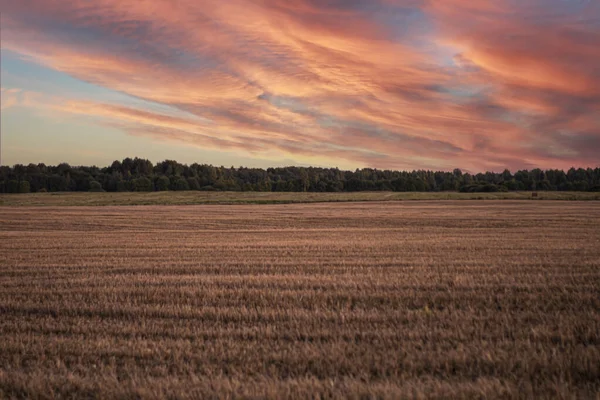 Sahada güzel bir gün batımı