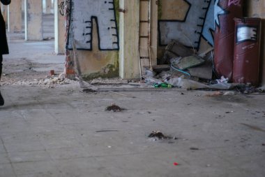 Terk edilmiş bir evde grafiti.