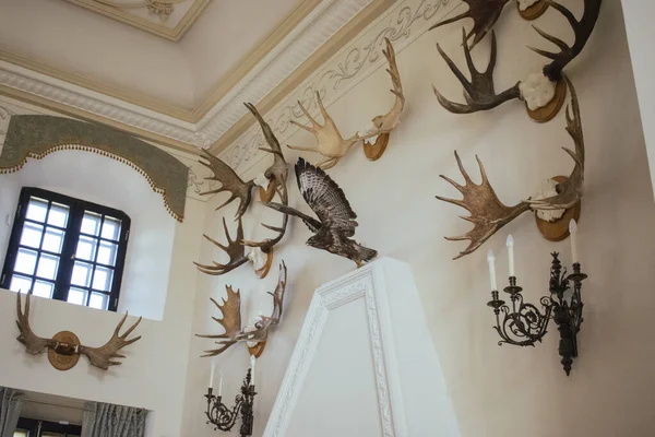 Beyaz Rusya mir kalesi içeride 