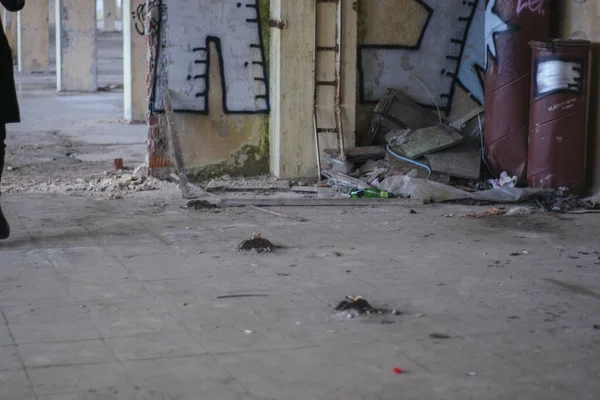 Terk edilmiş bir evde grafiti.